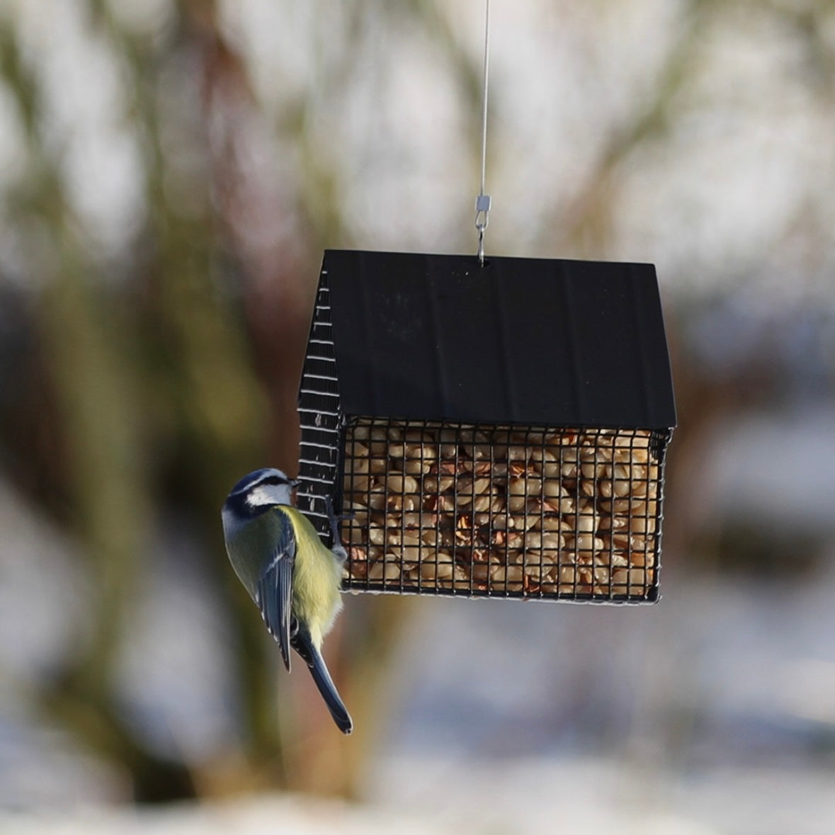 Wildlife Garden - Foderhus til nødder