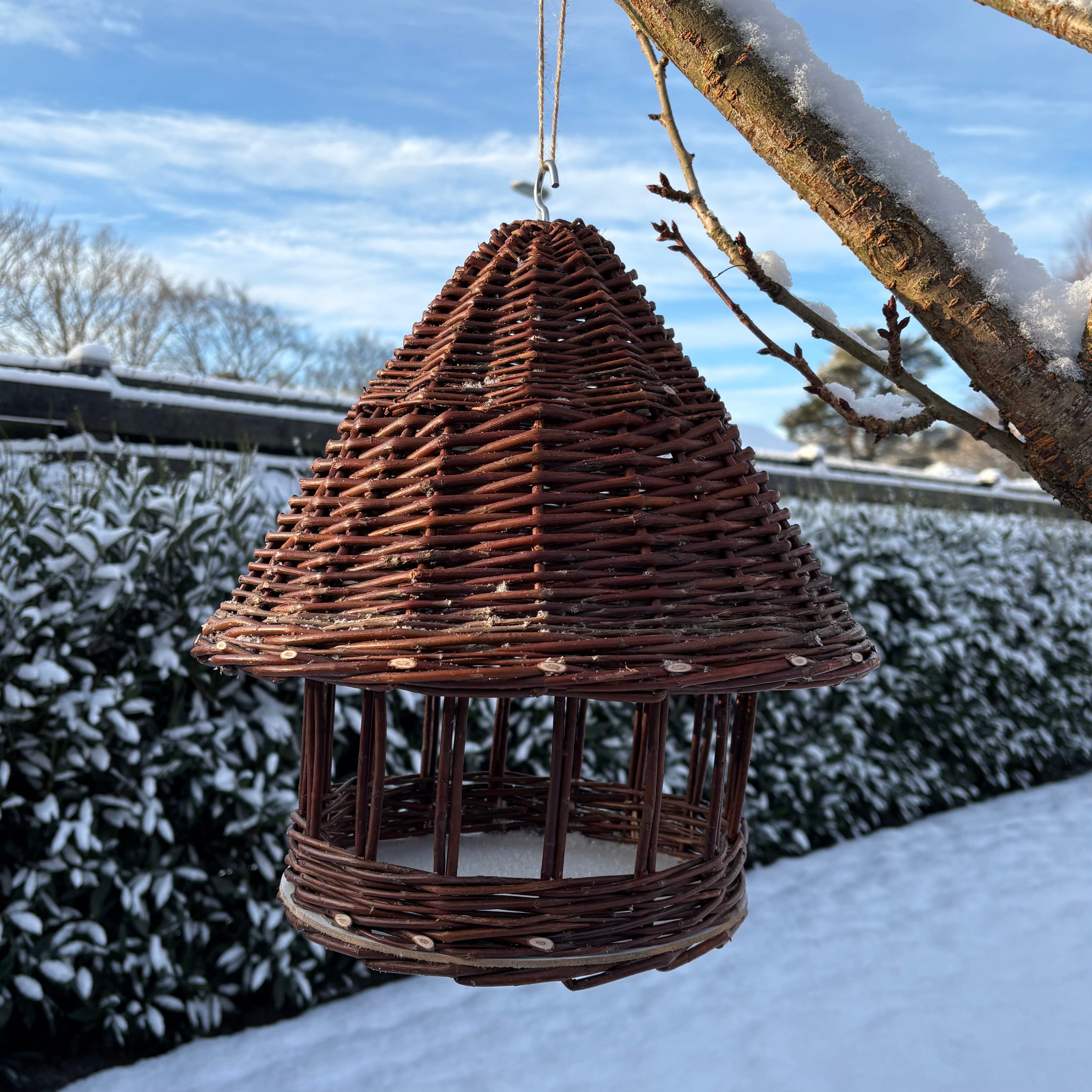 Pileflet fuglehus til små fugle