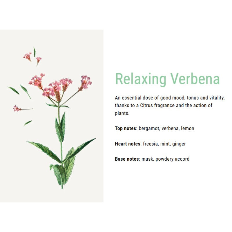 Panier des sens Roll on - Verbena