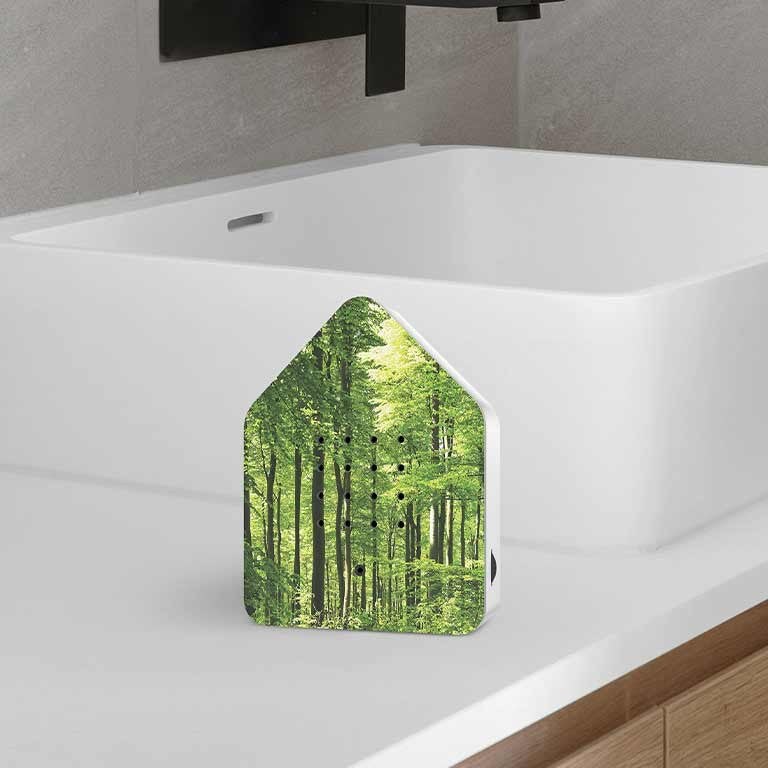 Zwitscher Box - Forest