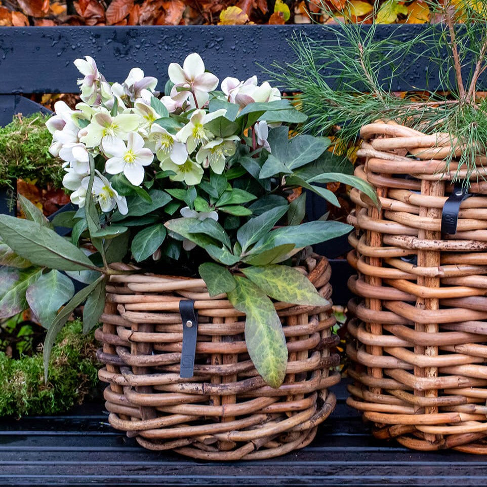 Kraftig rattan plantekurv fra A2 Living