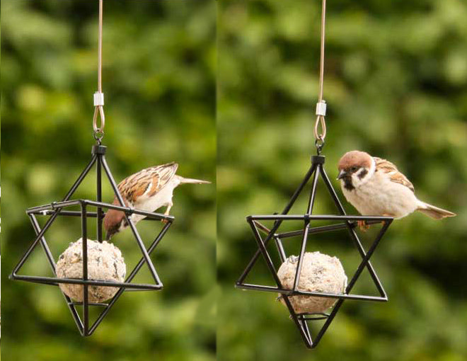Stjerneholder til fedtkugler - sort