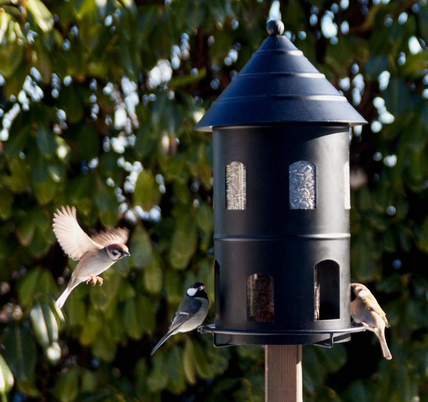 Metal foderautomat Gigant Sort