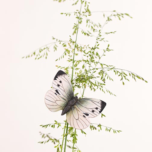 Deco magnet m/sommerfugl