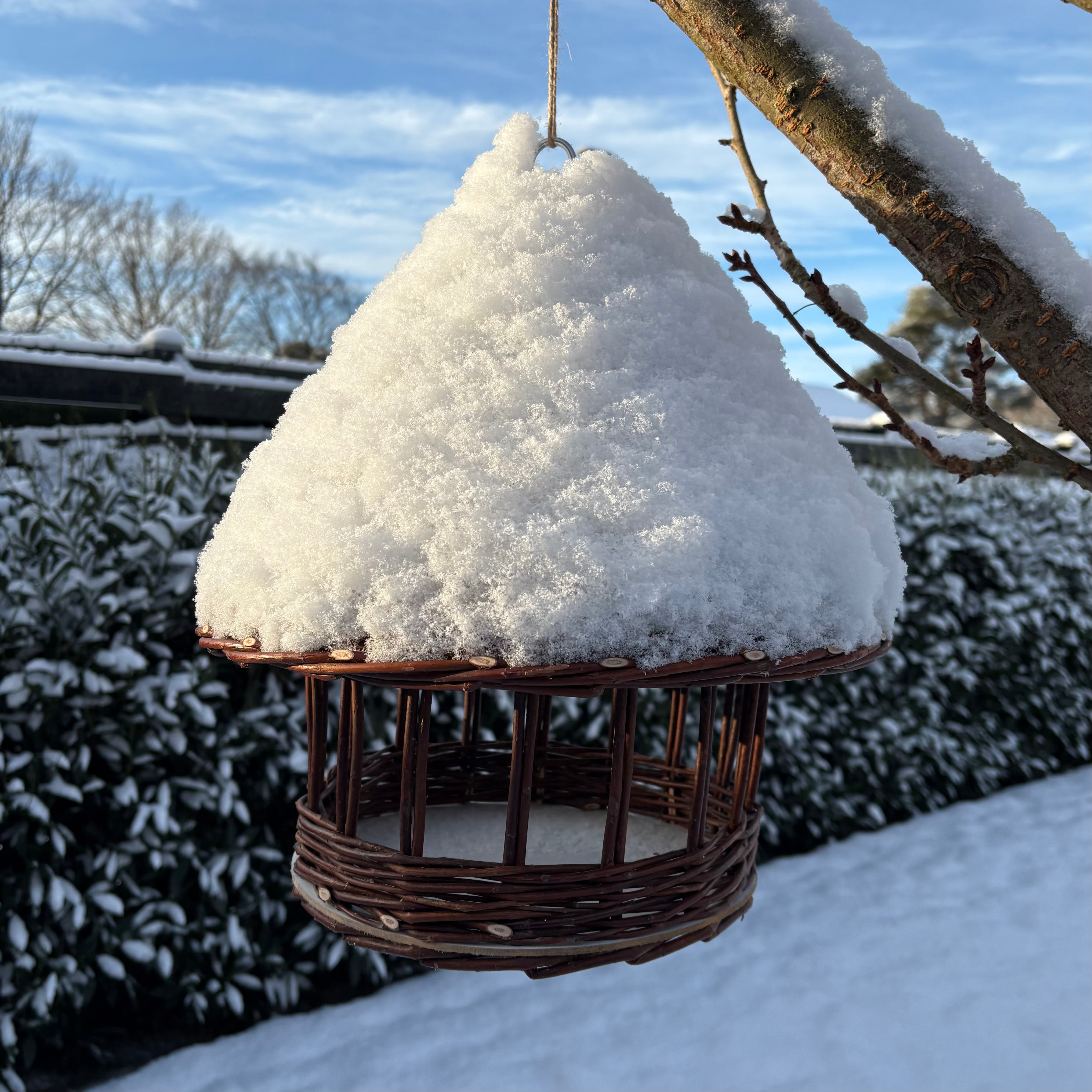 Pileflet fuglehus til små fugle
