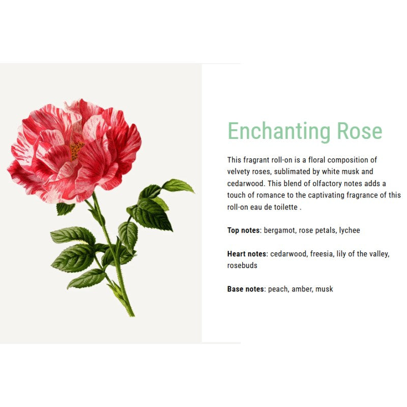 Panier des sens Roll on - Rose