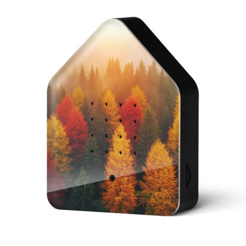 Zwitscher Box - Autumn leaves