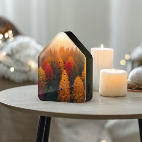 Zwitscher Box - Autumn leaves