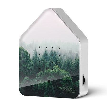 Zwitscher Box - Morning forest