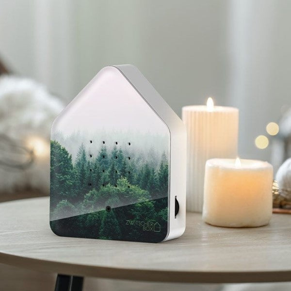 Zwitscher Box - Morning forest