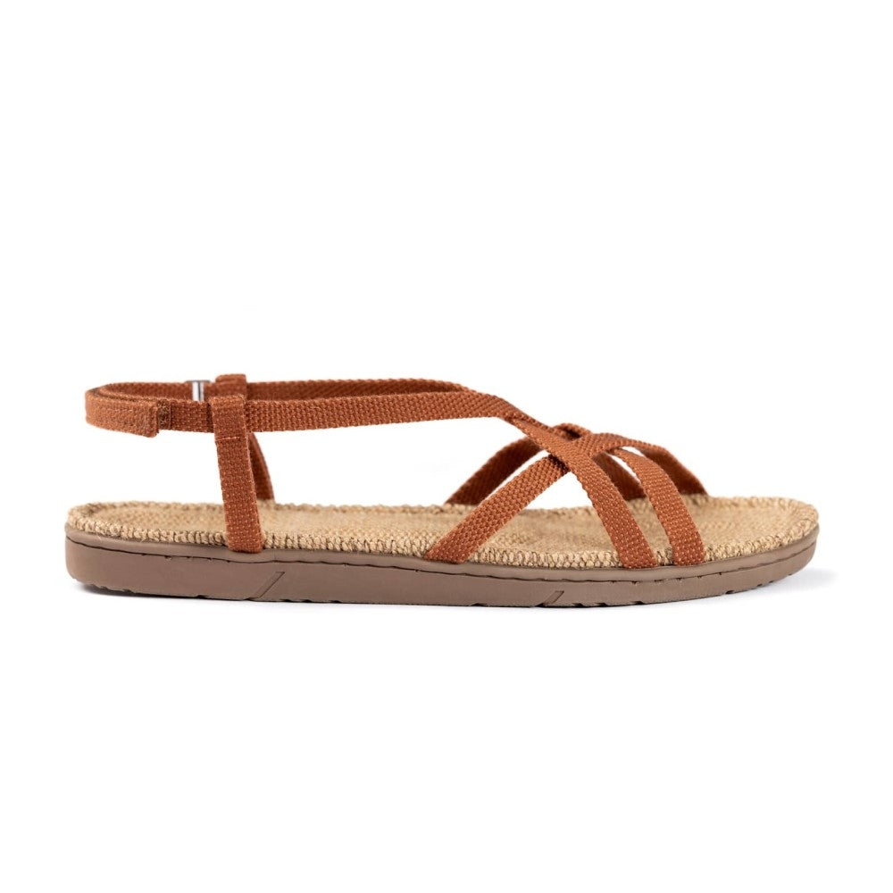 Shangies #2 m/rem - Sunny Sienna