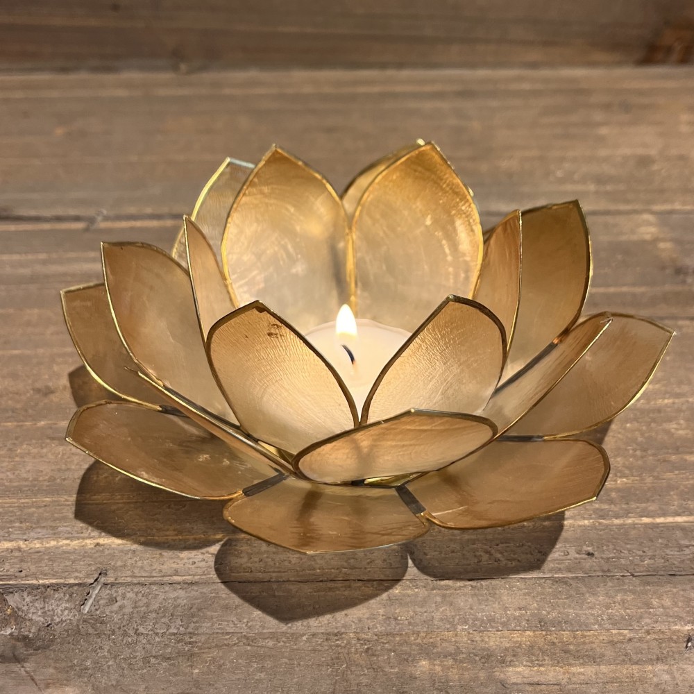 Lotus lysestage - Fading sand