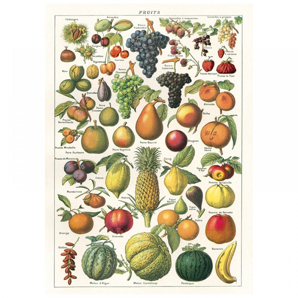 Plakat - Fruits 50x70cm