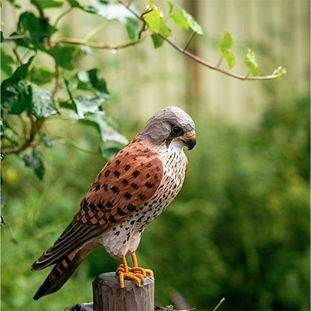 DecoBirdTrnfalk-01