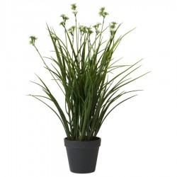 SpeedtsbergGrsmblomster55cm-20