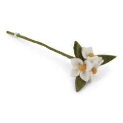 GrySifHvideblomsterpstilk-20