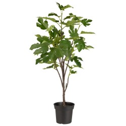 IbLaursenKunstigFigentrH80cm-20