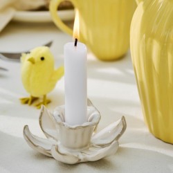 IbLaursenLysestageDaffodils-20