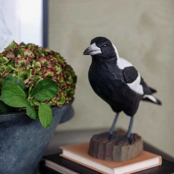 DecoBirdAustralskfljtefugl-20