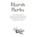 ALTUM Marsh Herbs - Bodywash 500ml.