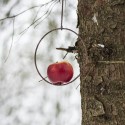 Ib Laursen - Rundt fuglespyd til æbler