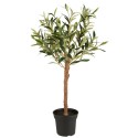 Ib Laursen - Kunstig Oliventræ H 75cm