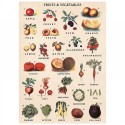 Plakat - Fruit/vegetables 50x70cm