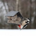 Wildlife Garden - Foderhus til fedtkugler