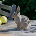 Widlife Garden - Vild kanin i træ