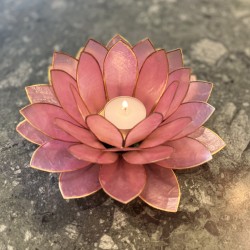 Mega Lotus - Blossom Rose