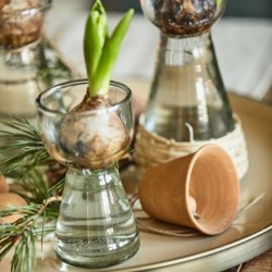 Ib Laursen - Hyacint glas vase