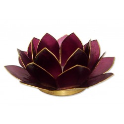 Lotus lysestage - Blomme