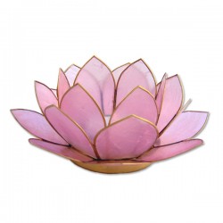 Lotus lysestage - Rose