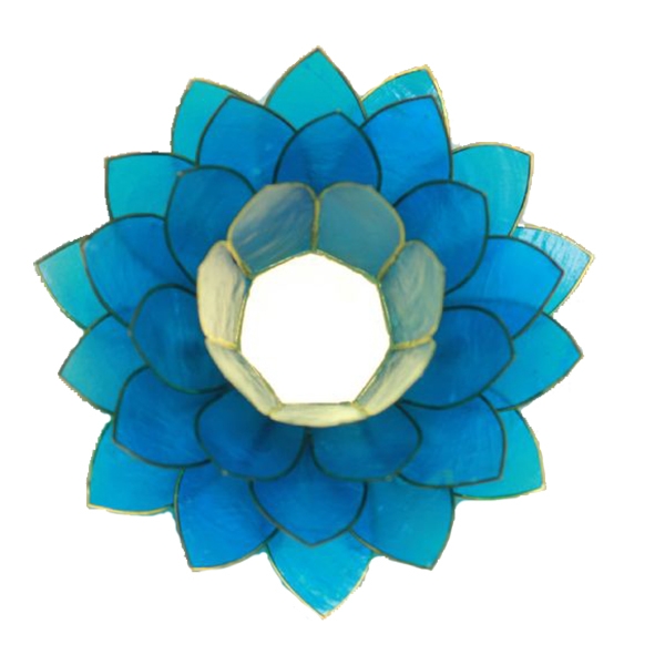 Billede af Mega Lotus - Turkis